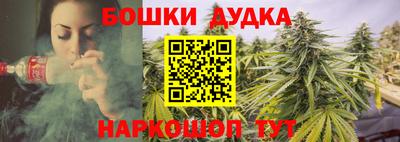 мдпв Шелехов
