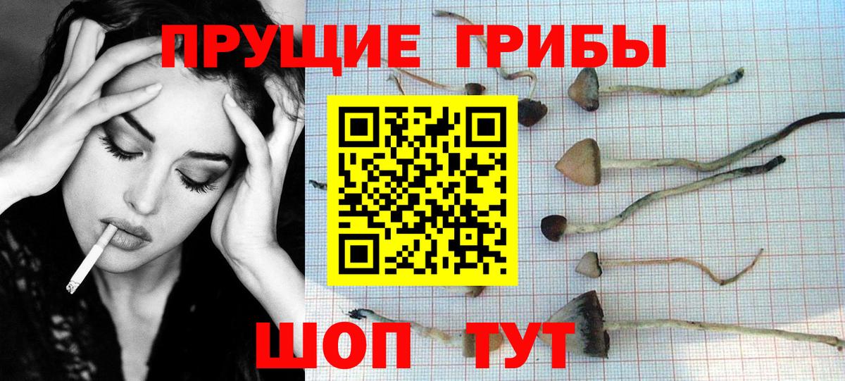 Галлюциногенные грибы ЛСД  Вход с VPN  Черкесск 